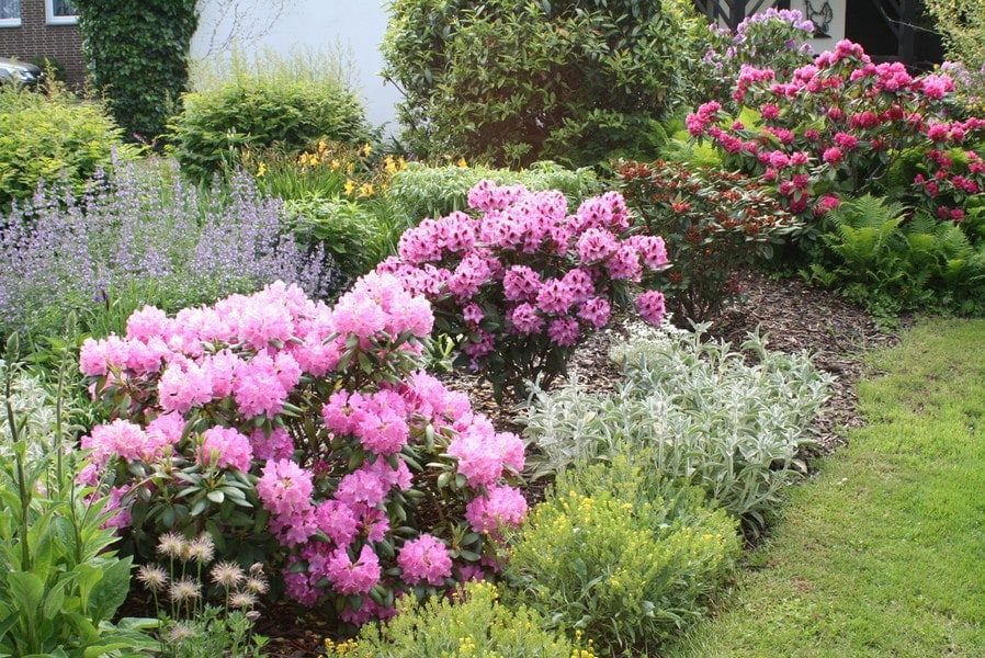 Ein Blumenbeet mit vielen verschiedenen Pflanzen in rosanen Farbtönen